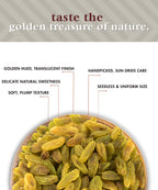 Meecoco Indian Kishmish